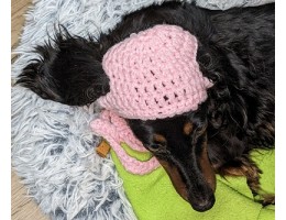 Crocheted Dog Hat for Small Dog