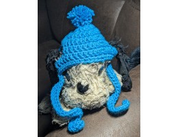 Crocheted Dog Hat for Small Dog