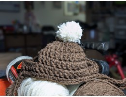 Crocheted Dog Hat for Small Dog