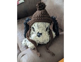Crocheted Dog Hat for Small Dog