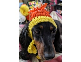 Crocheted Dog Hat for Small Dog