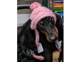 Crocheted Dog Hat for Small Dog