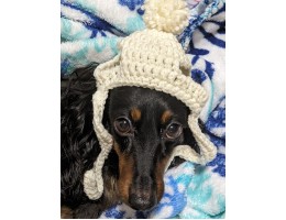 Crocheted Dog Hat for Small Dog