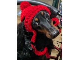 Crocheted Dog Hat for Small Dog