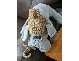 Crocheted Dog Hat for Small Dog